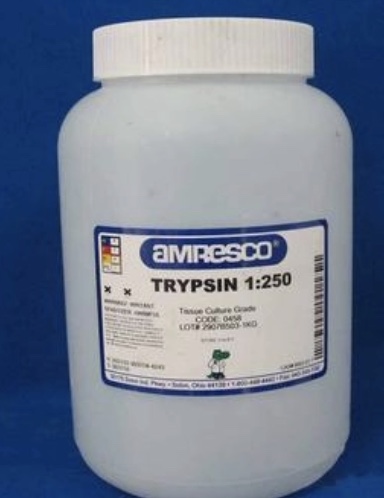 L-Alanine methyl ester hydrochloride