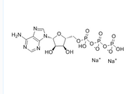 Adenosine 5'-triphosphate disodium salt (ATP)